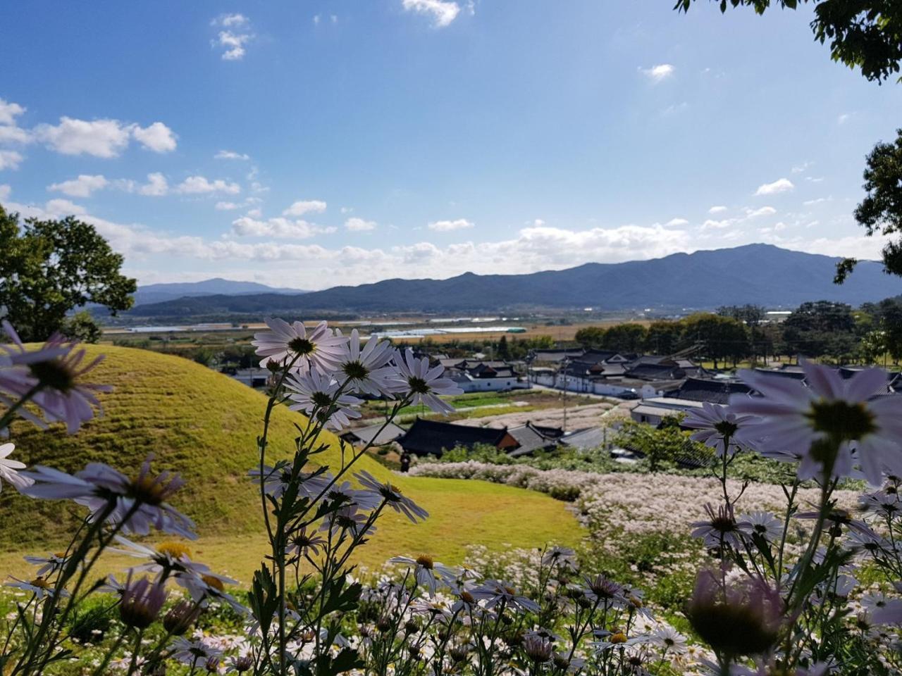 Gyeongju Guesthouse Huewon المظهر الخارجي الصورة